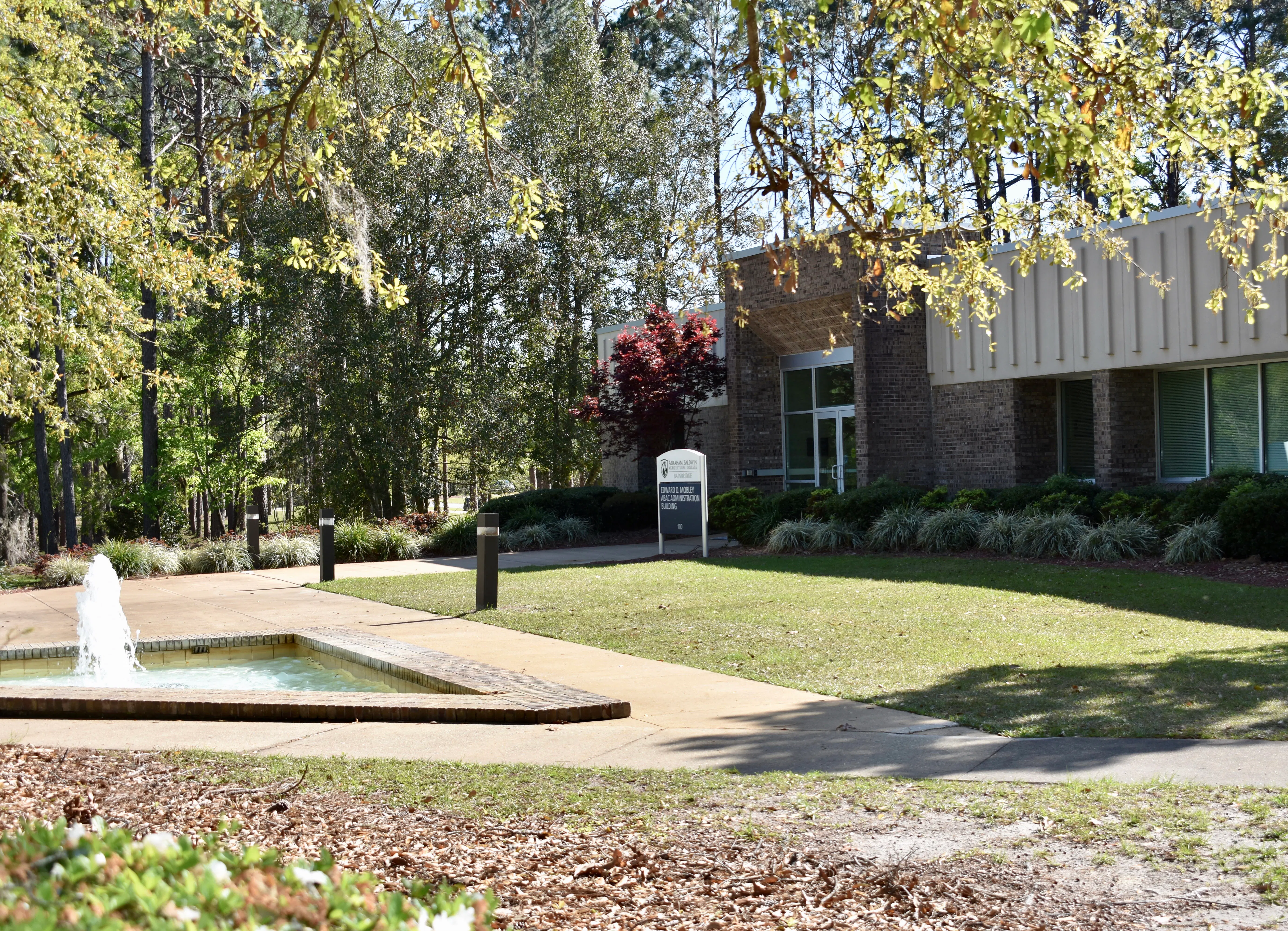 Stallion Day @ Bainbridge