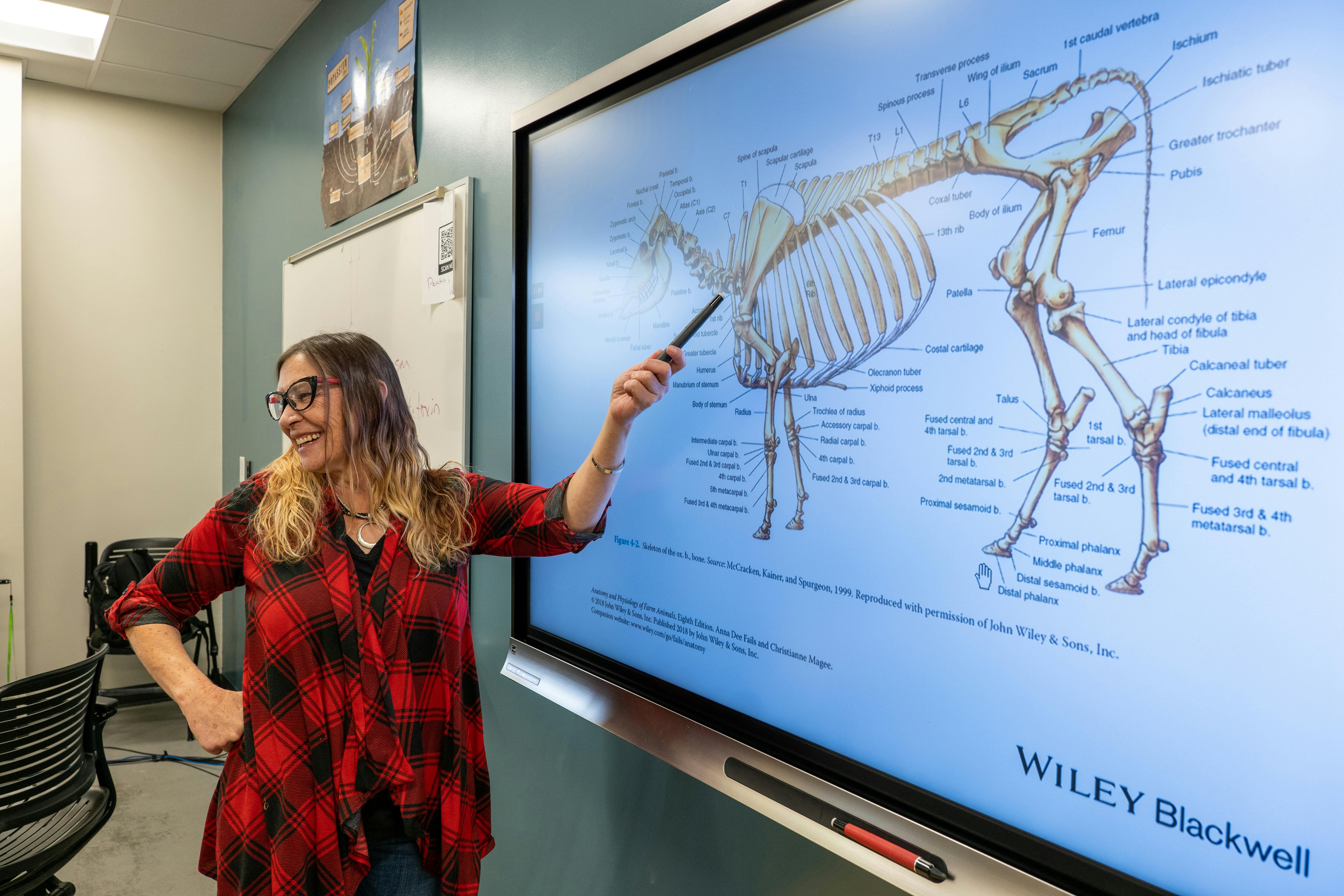 woman in black and red plaid top holding pointer at screen livestock anatomy