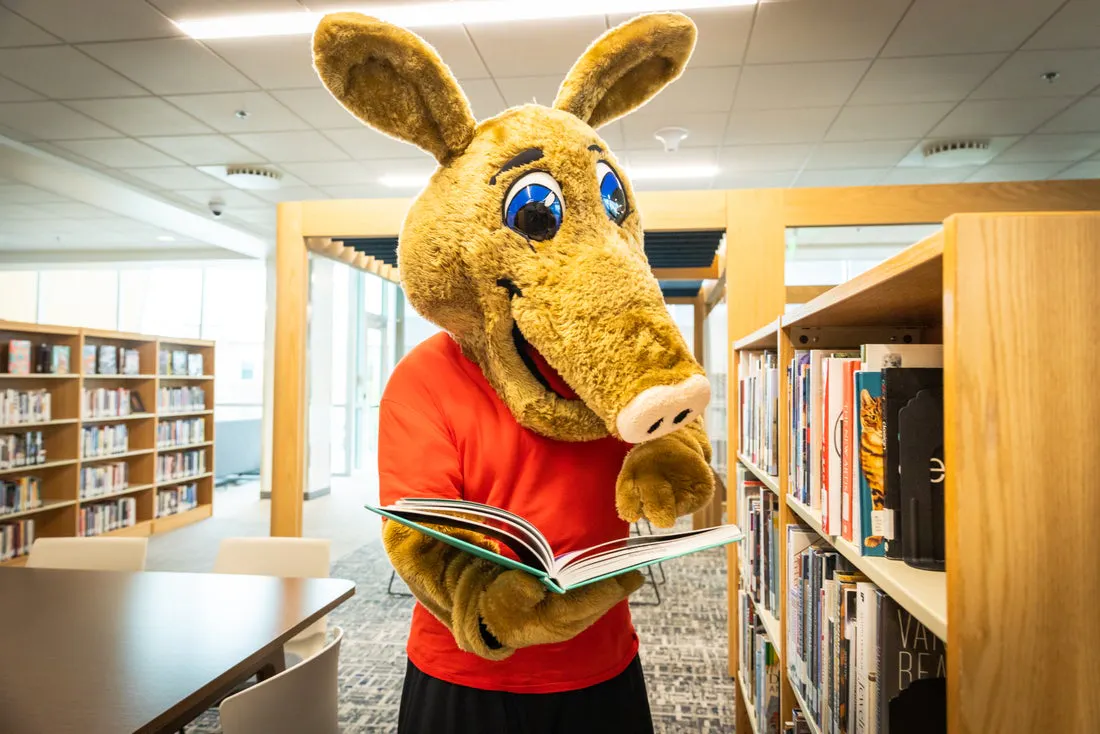 Access and Opportunities Programs - Greeley Campus