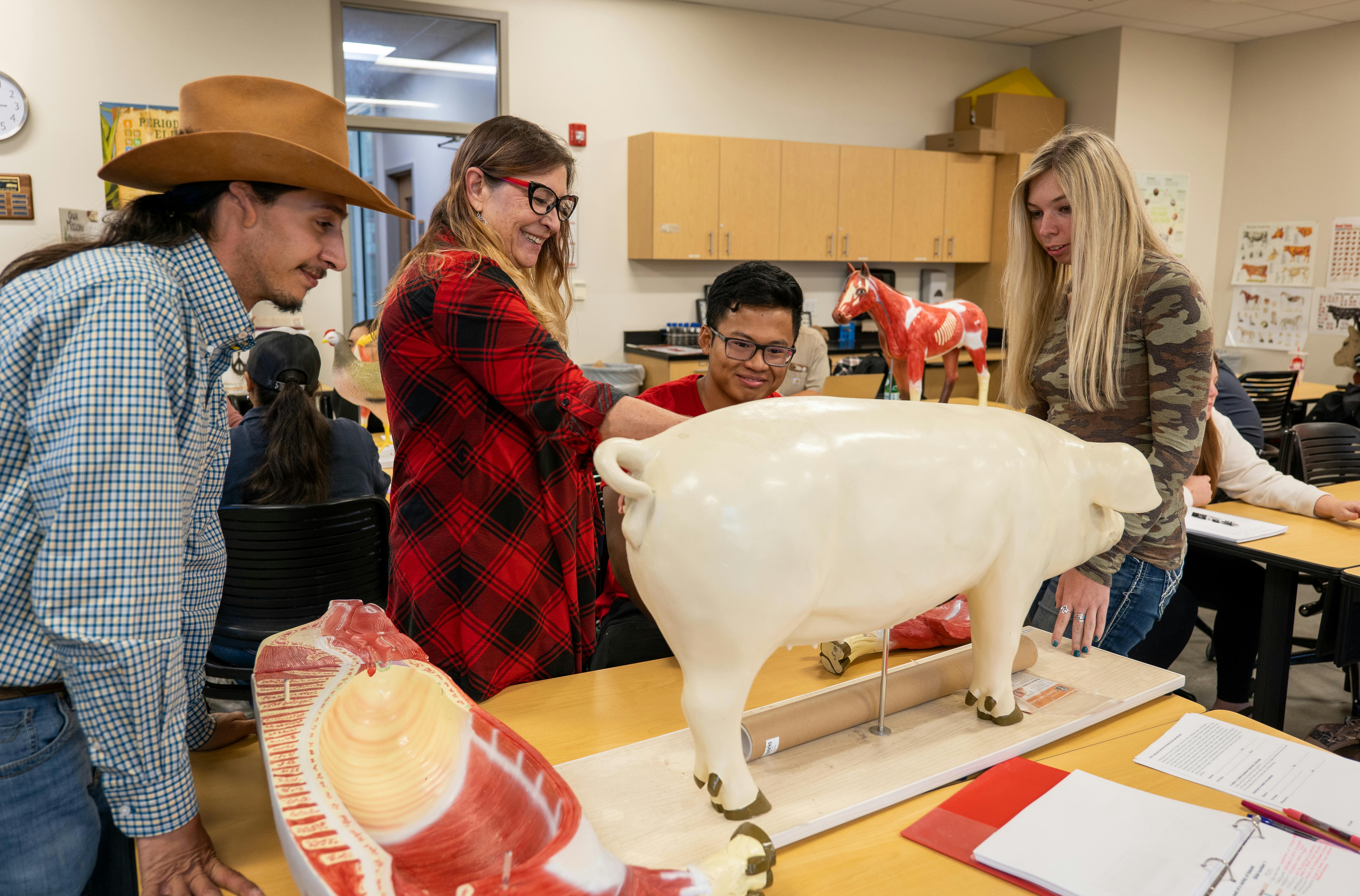 students standing around table looking at hog model