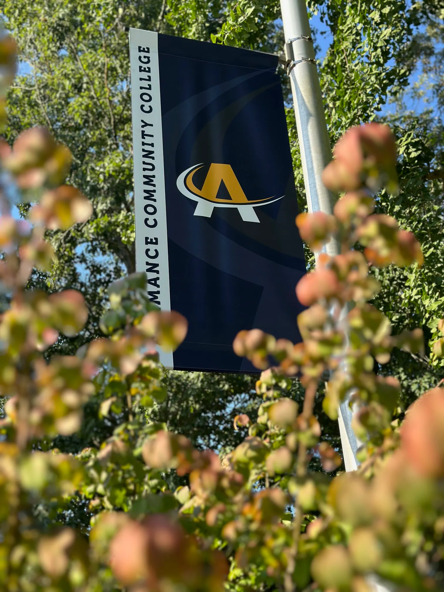 Connect with your fellow Alumni