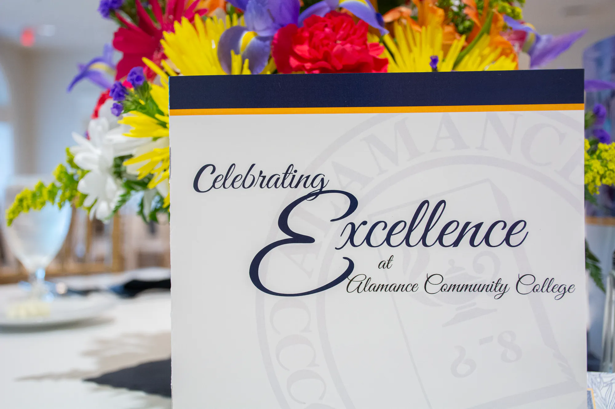 Celebration of Excellence