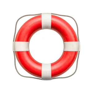 Transferring is a Lifesaver - National Transfer Student Week