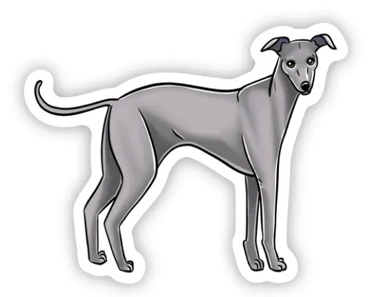 Welcome Week 2026: The Great Greyhound Hunt
