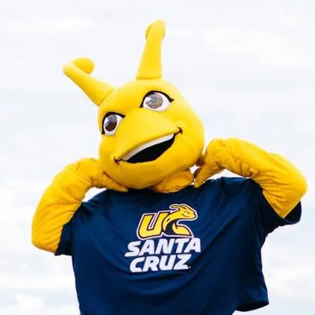 UC Santa Cruz 1:1 Appointments Fall 2026