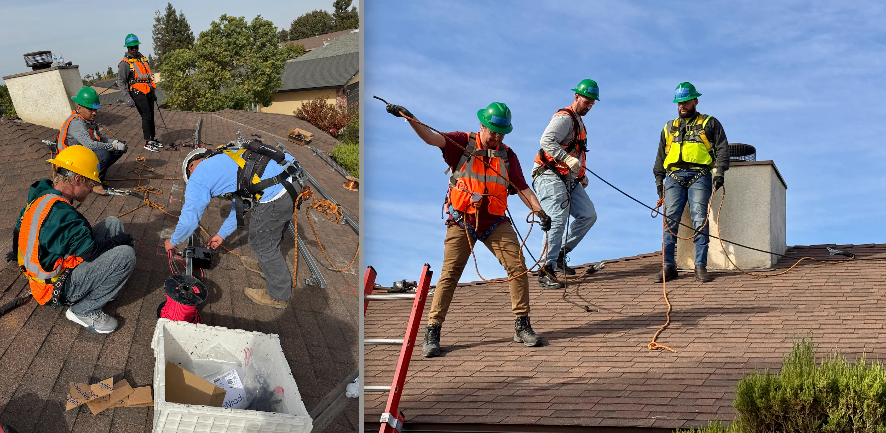 21st Century Trainees working in the field