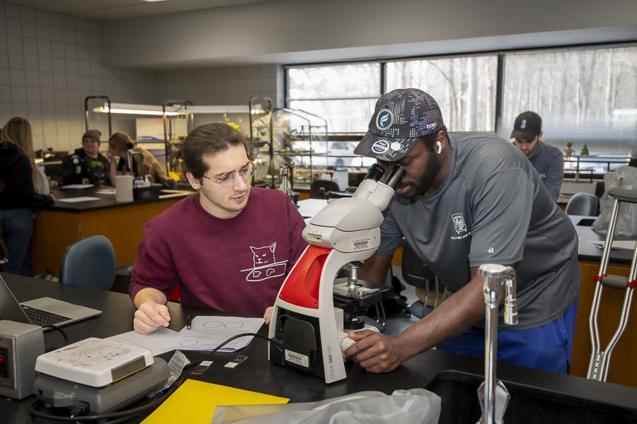 Regular Registration Period for Spring 2026