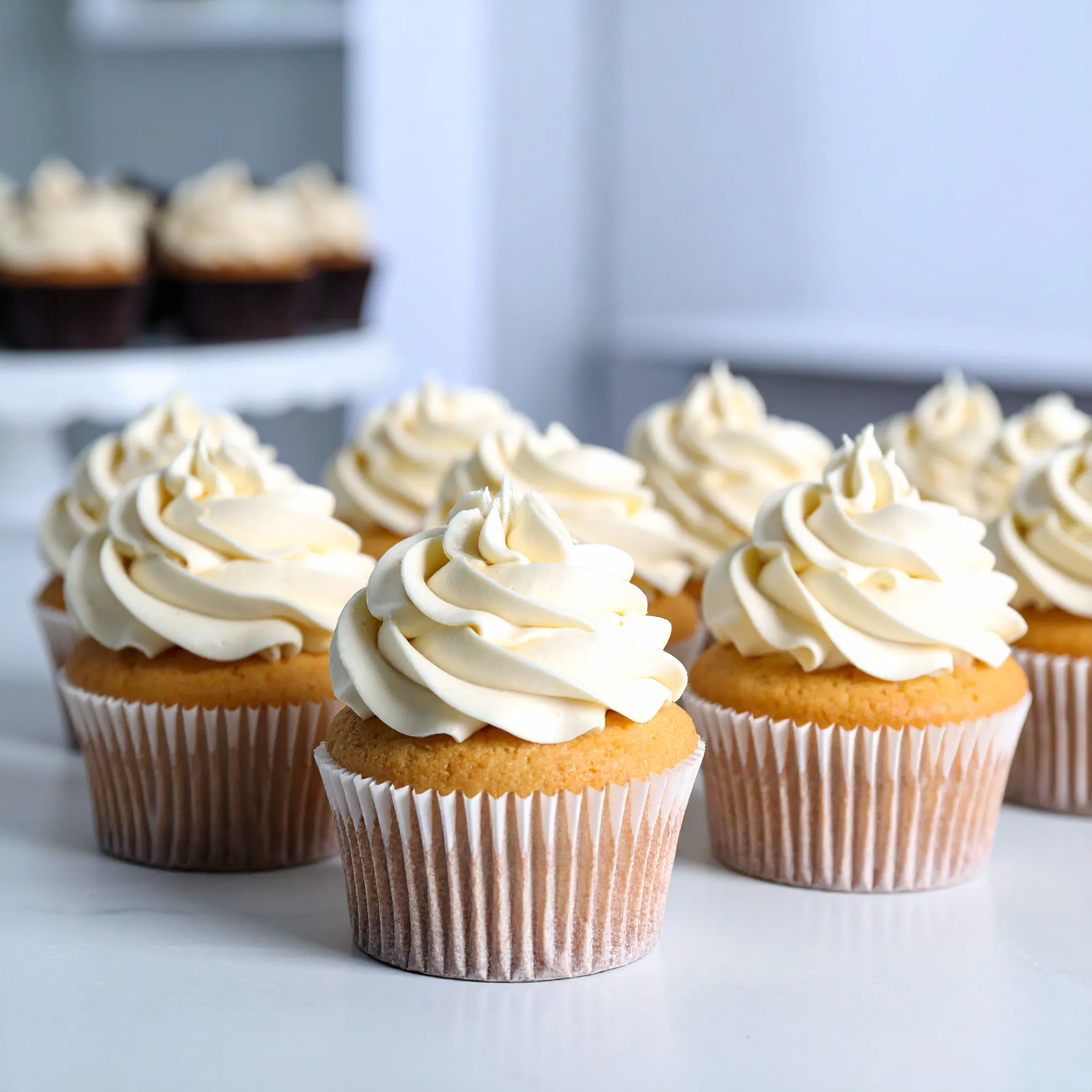 Vanilla Cupcake Day