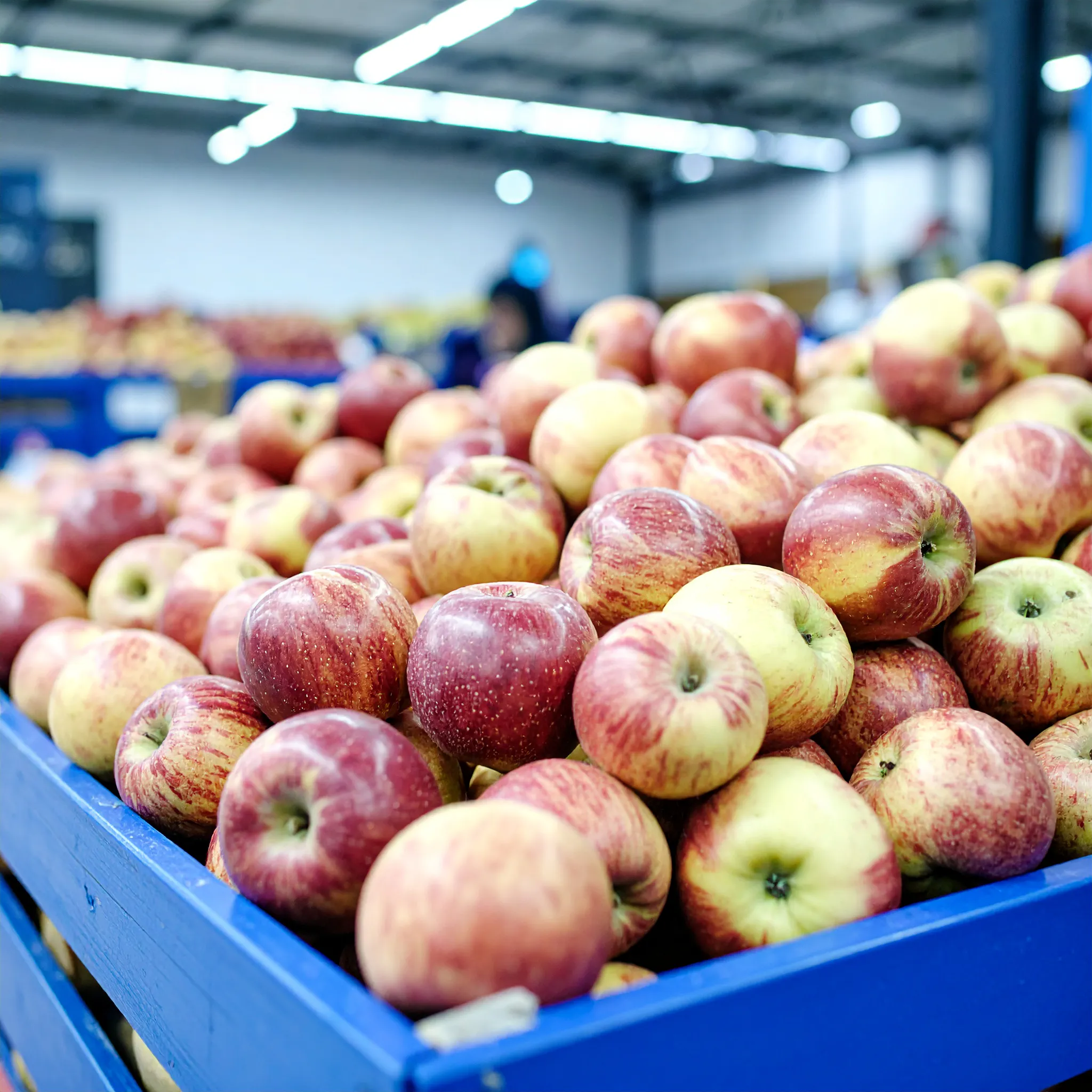 National Apple Day