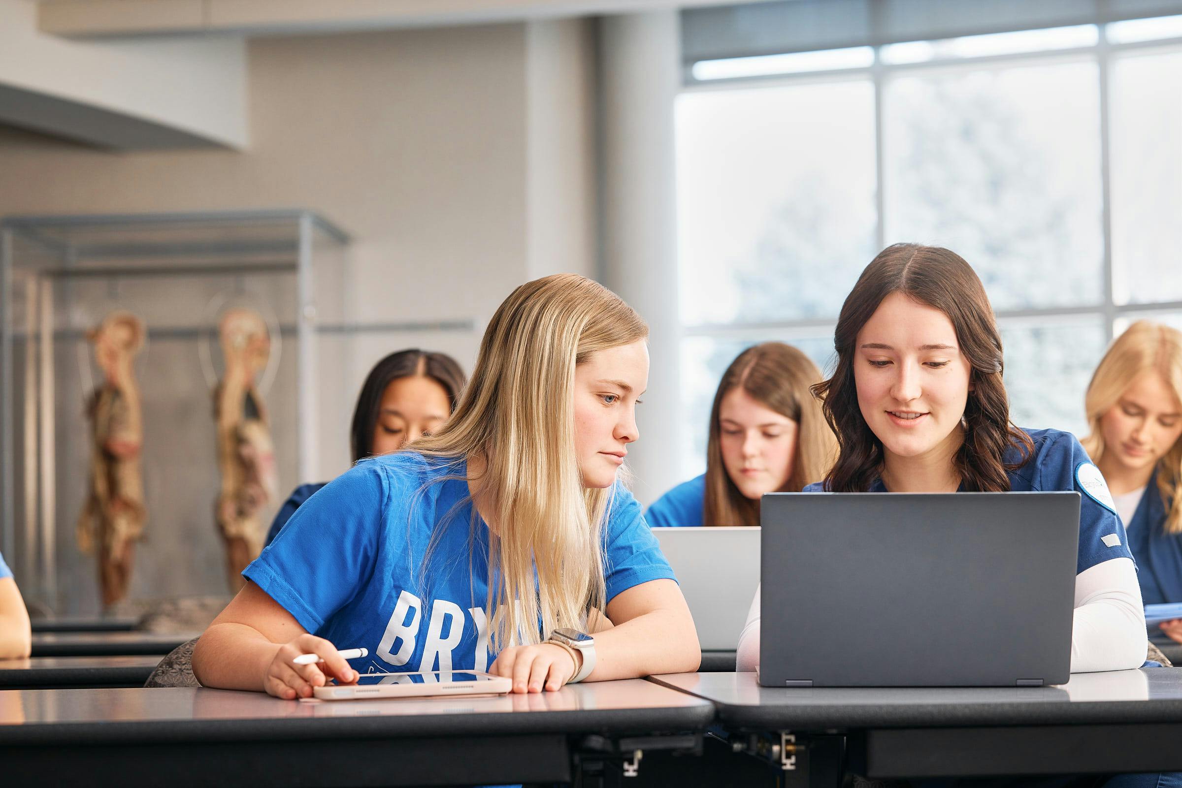 Anatomy and Physiology 1 Tutoring