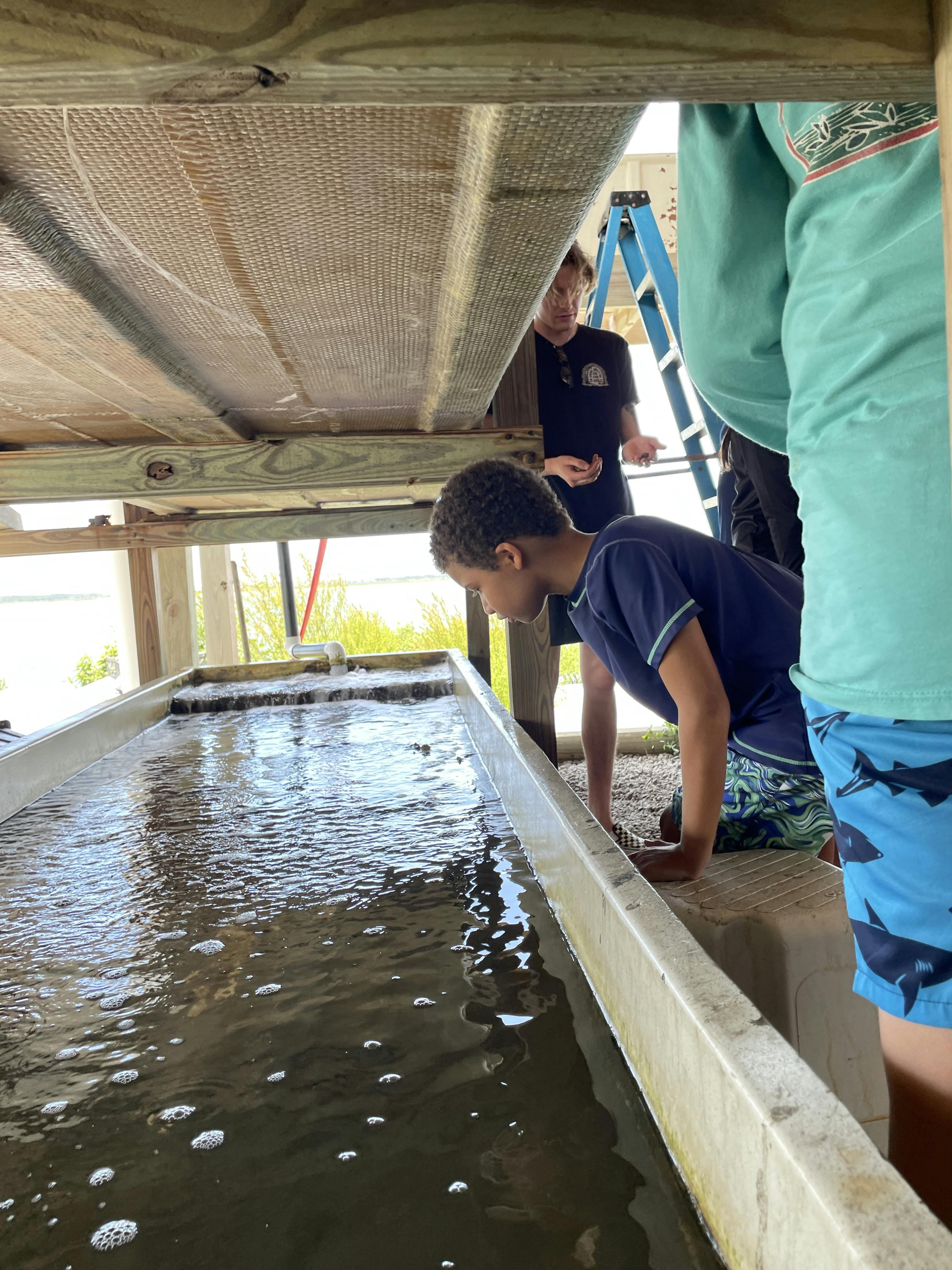 Coastal Science Explorers Camps