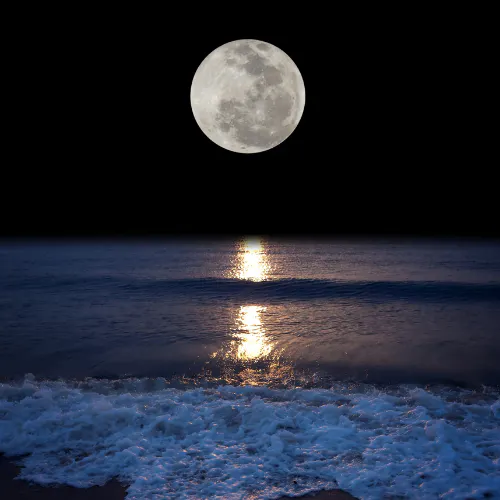 International Observe the Moon Night