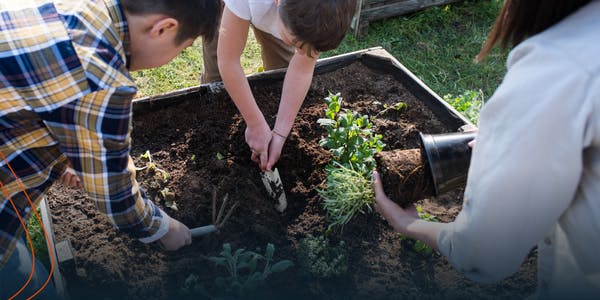 Sprouts Camp: Greenhouse to Garden