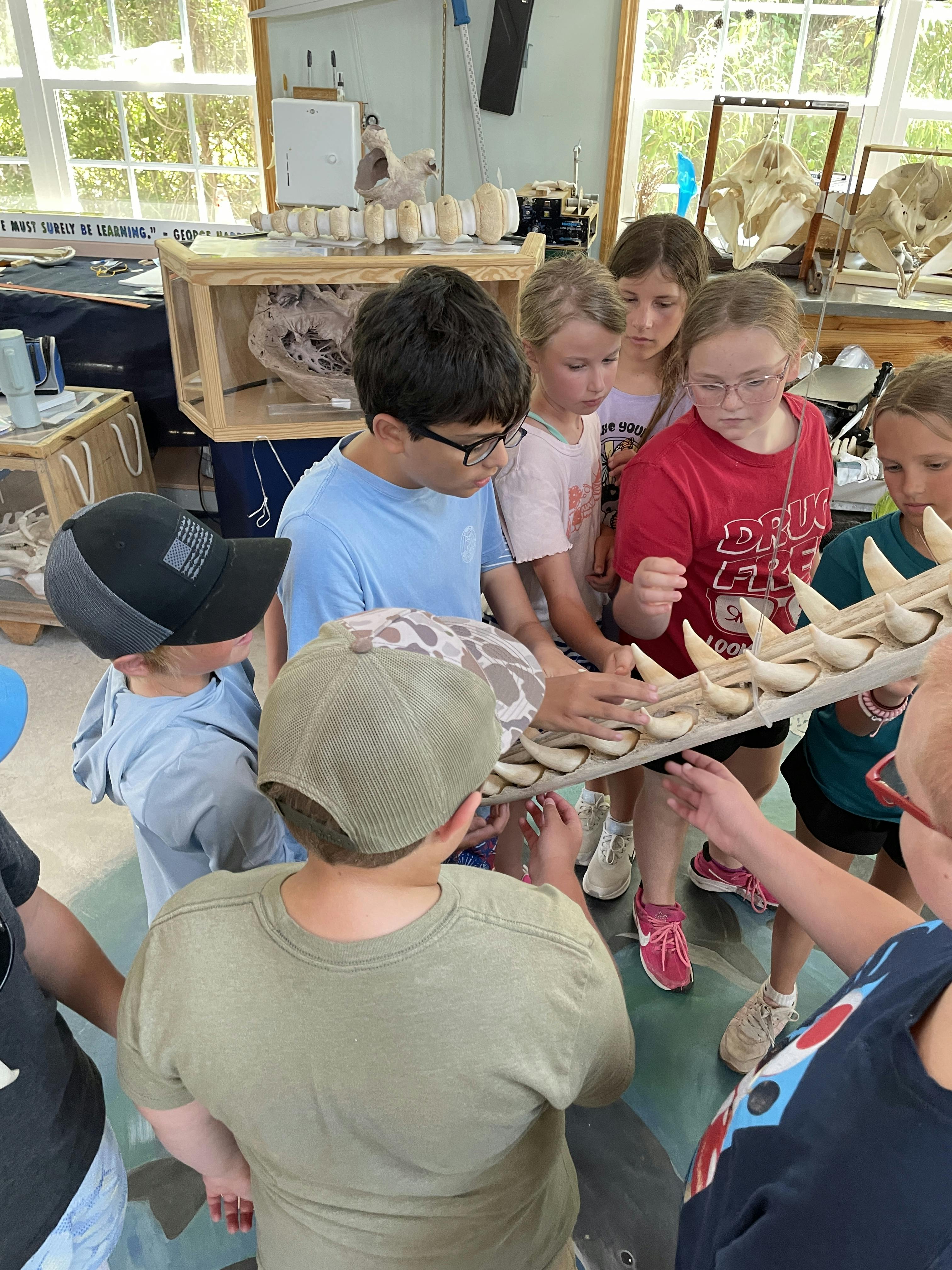 Marine Science Camps