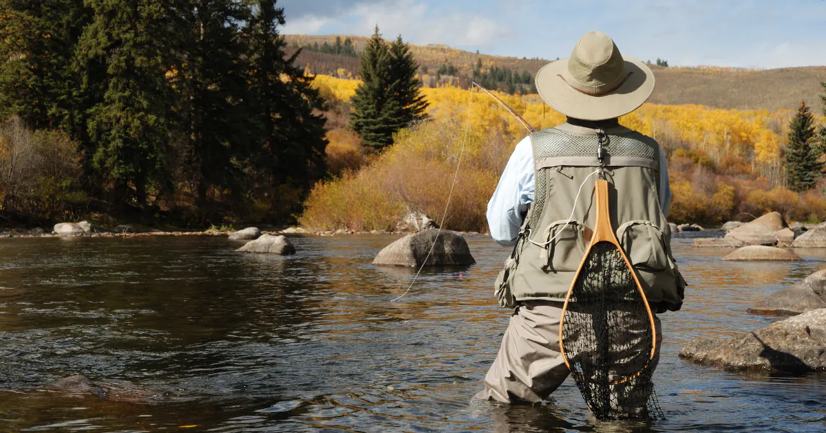 Fly-Fishing: On the Water