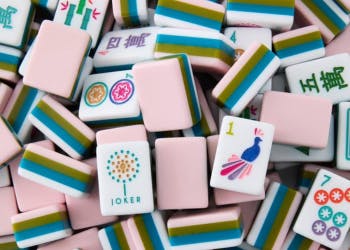 Bird Bam Brunch: Mah Jongg New Card & Social Play