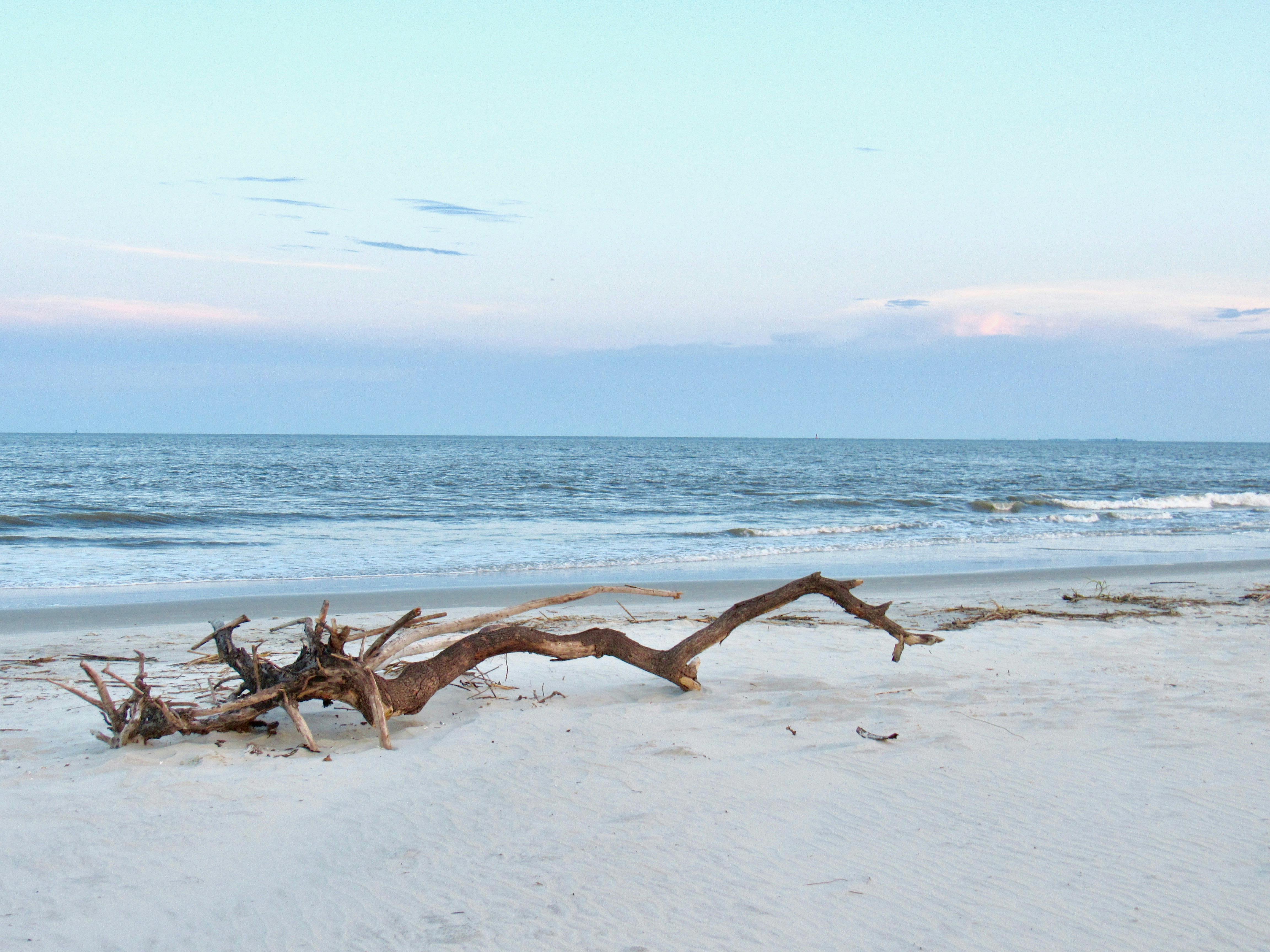 elm-pg-billboard-form IMG_0071