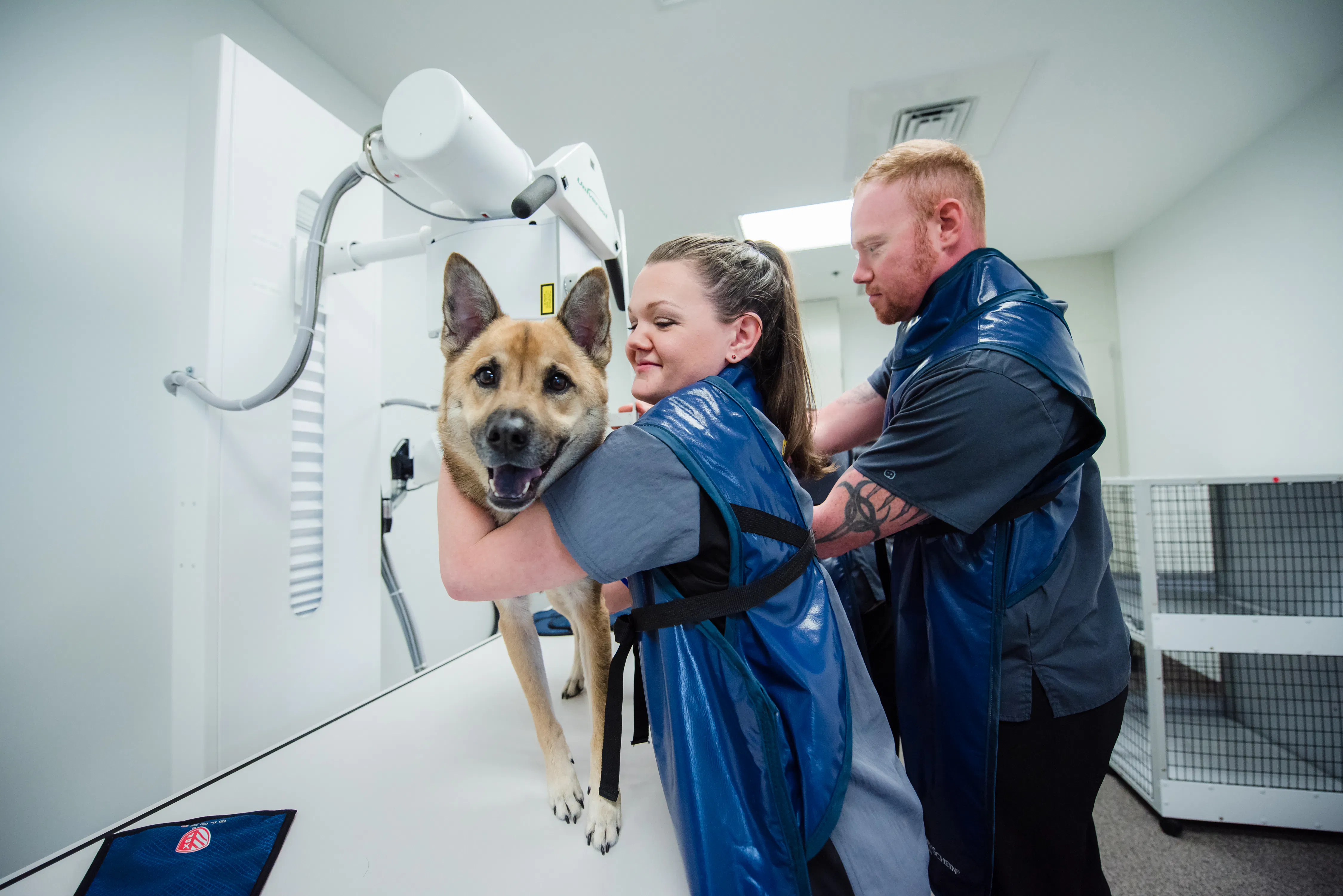 Veterinary Medical Technology Open House