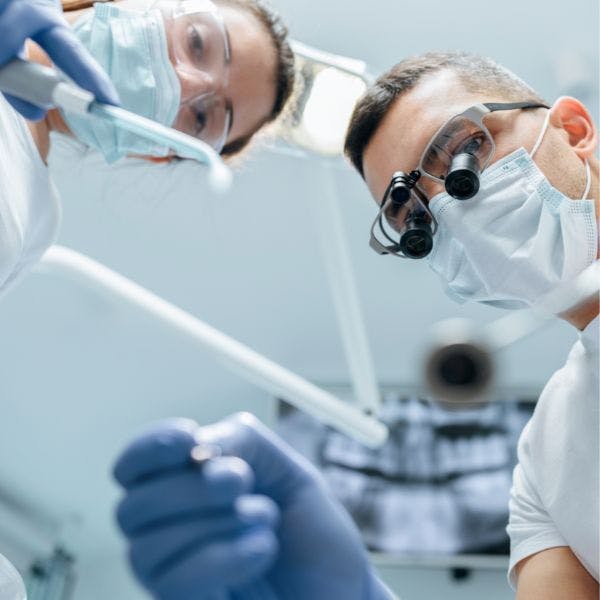 Externship Experience