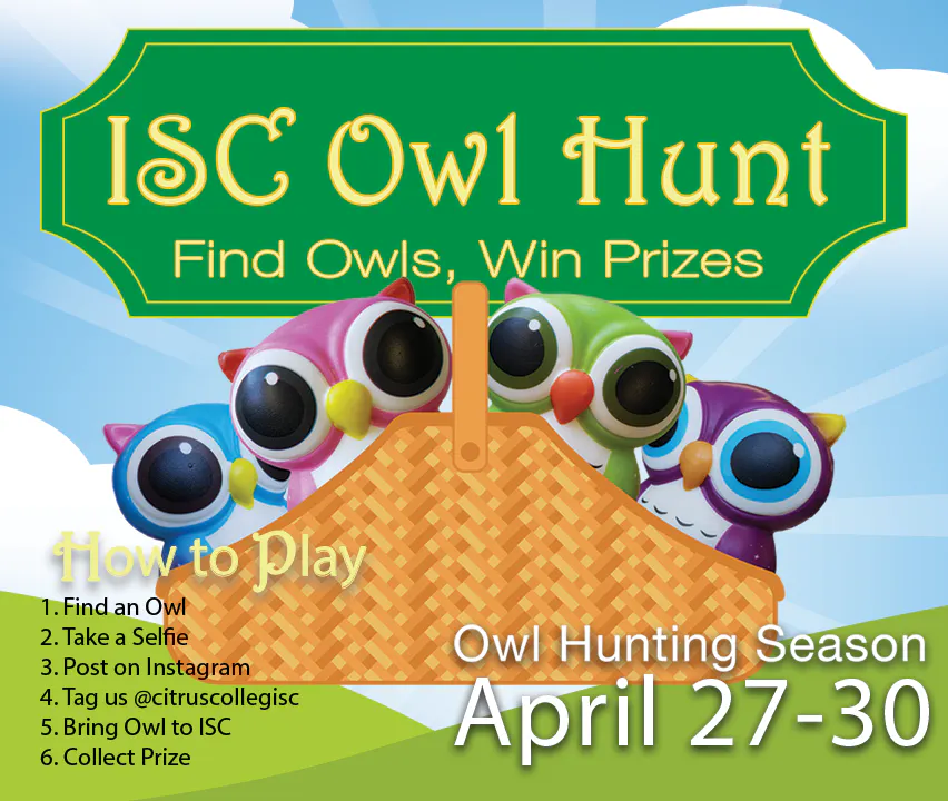ISC Owl Hunt