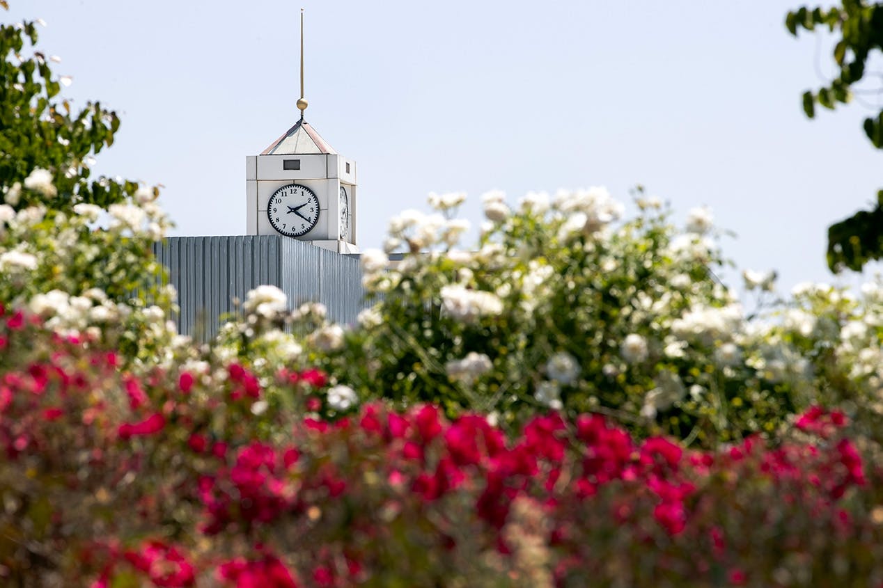 elm-pg-billboard-app Clock_A29I0480_72dpi