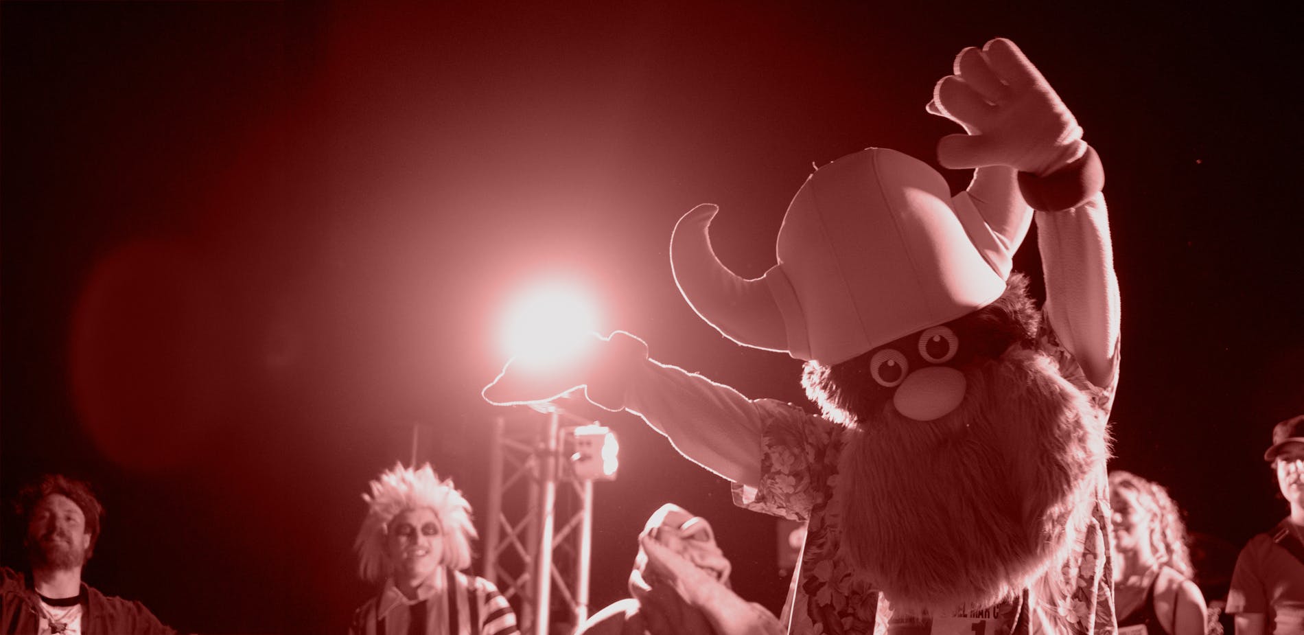 elm-pg-billboard-form Viking Fest 2025 Web header