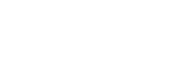 Dillard Logo