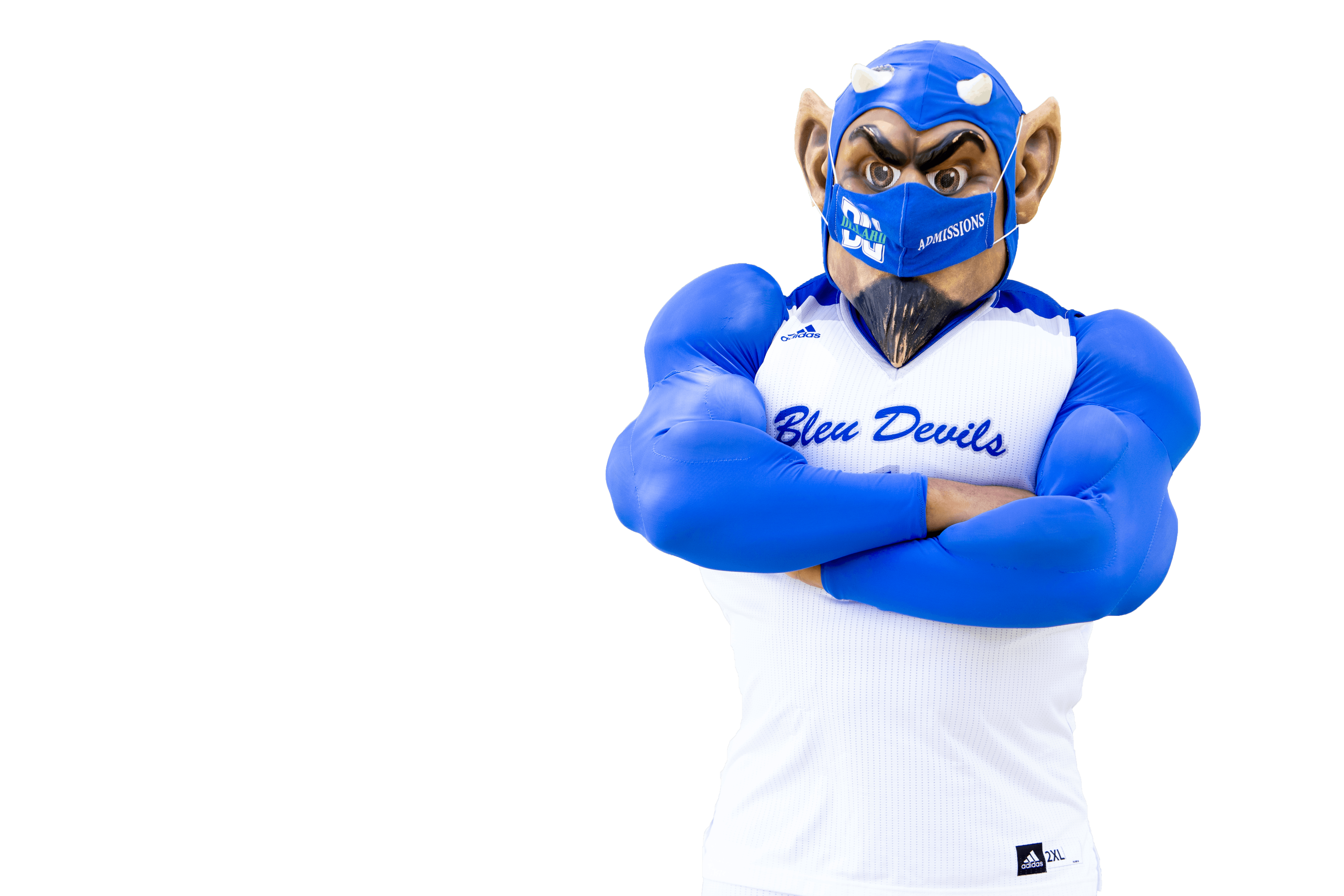 Dillard Decision Day 2024