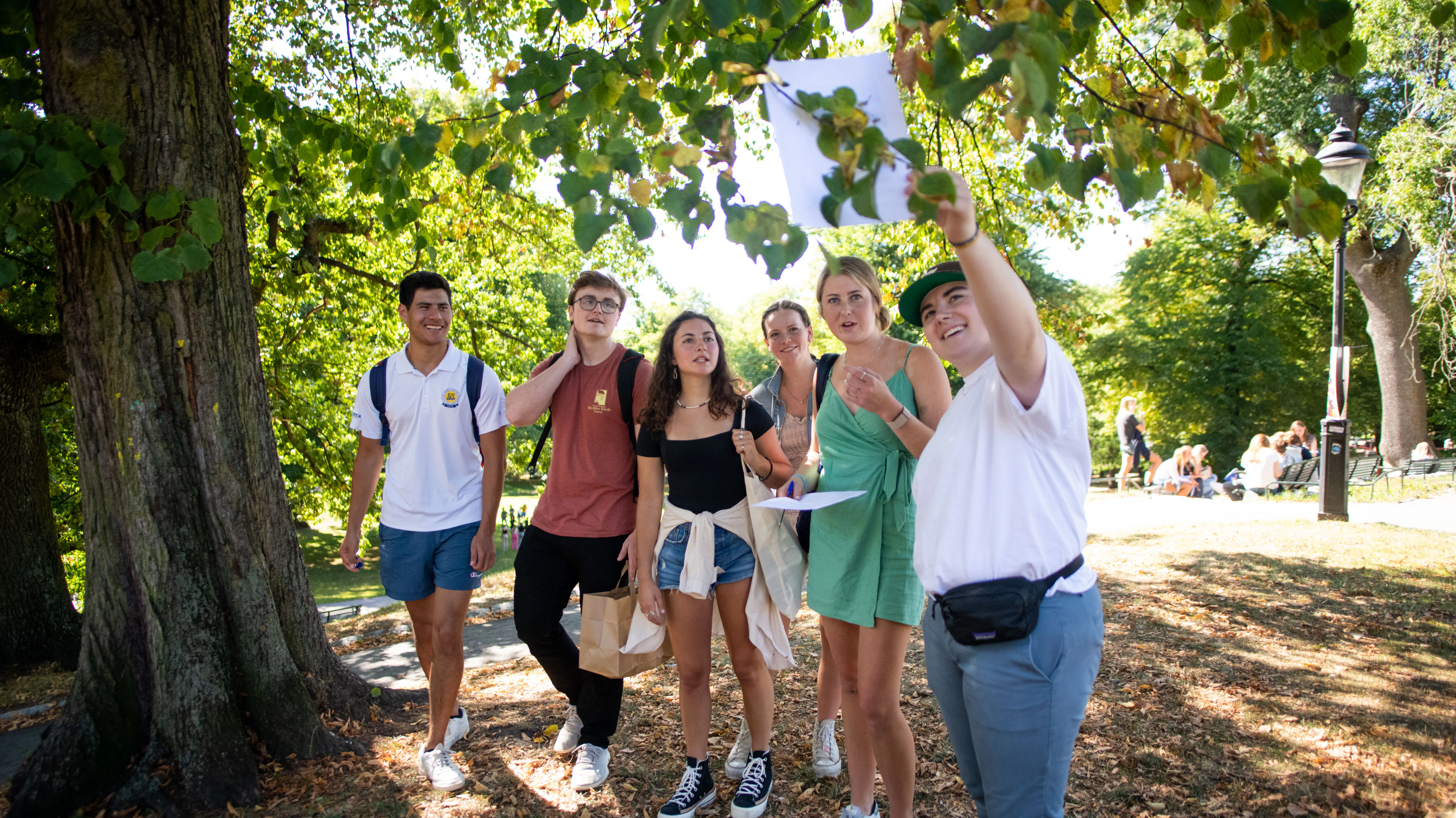 Info and advising sessions