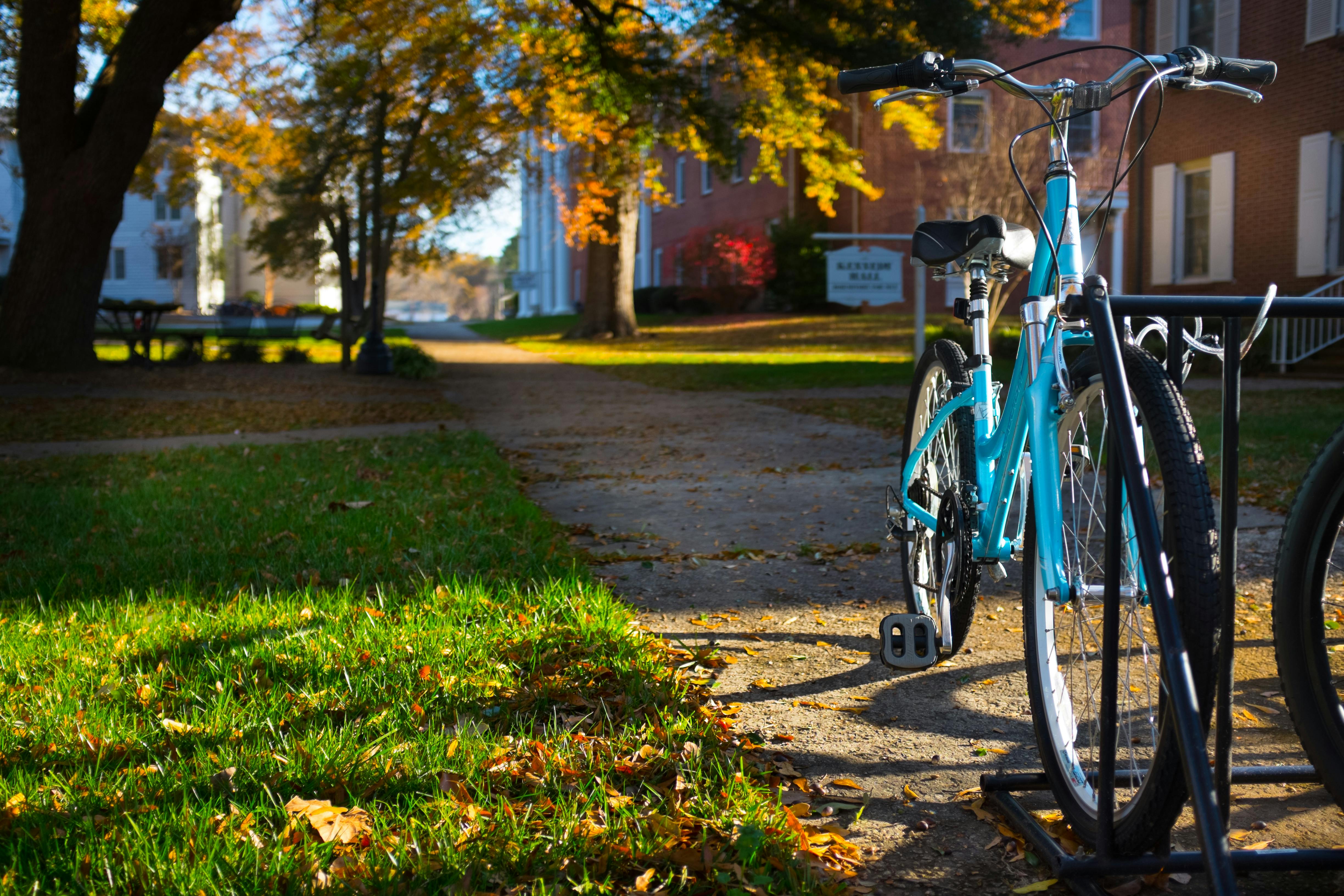 elm-pg-billboard-form EC_Campus_SS2013-17