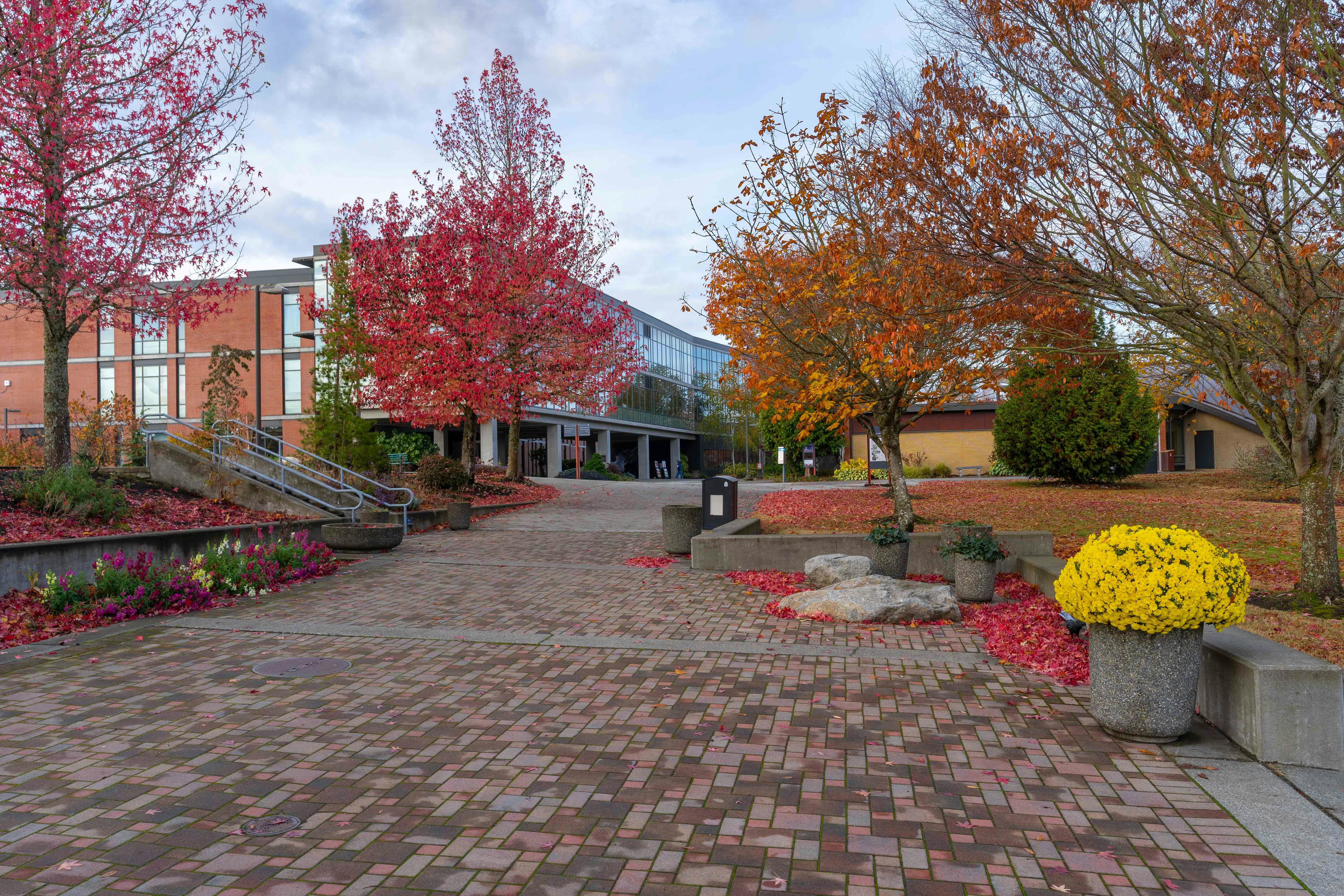 Virtual EvCC Information Session