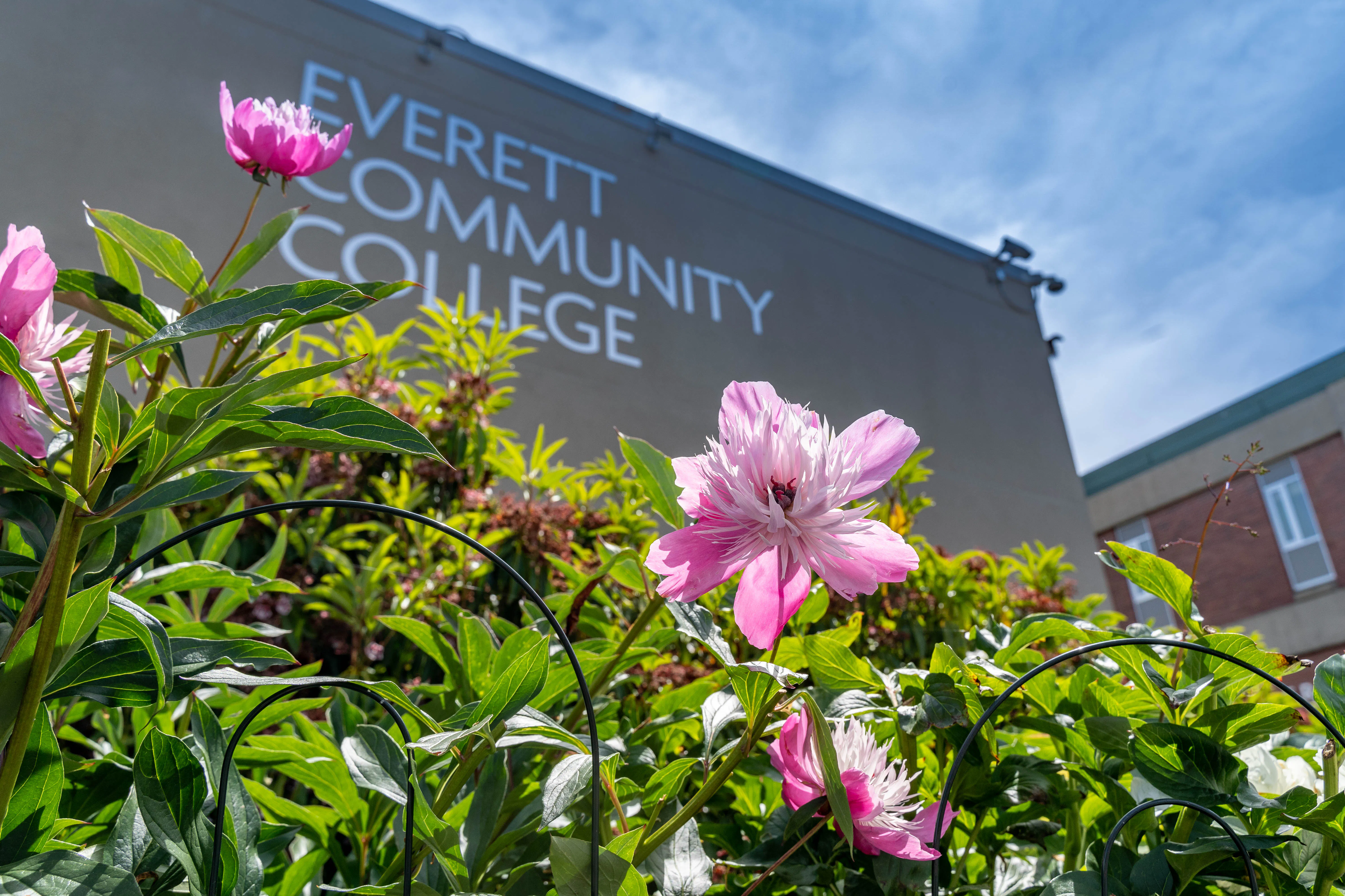 In-Person EvCC Information & Application Session