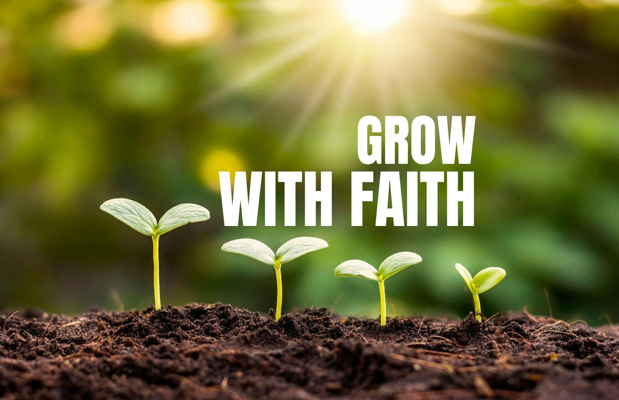 NSTM Informational Fellowship