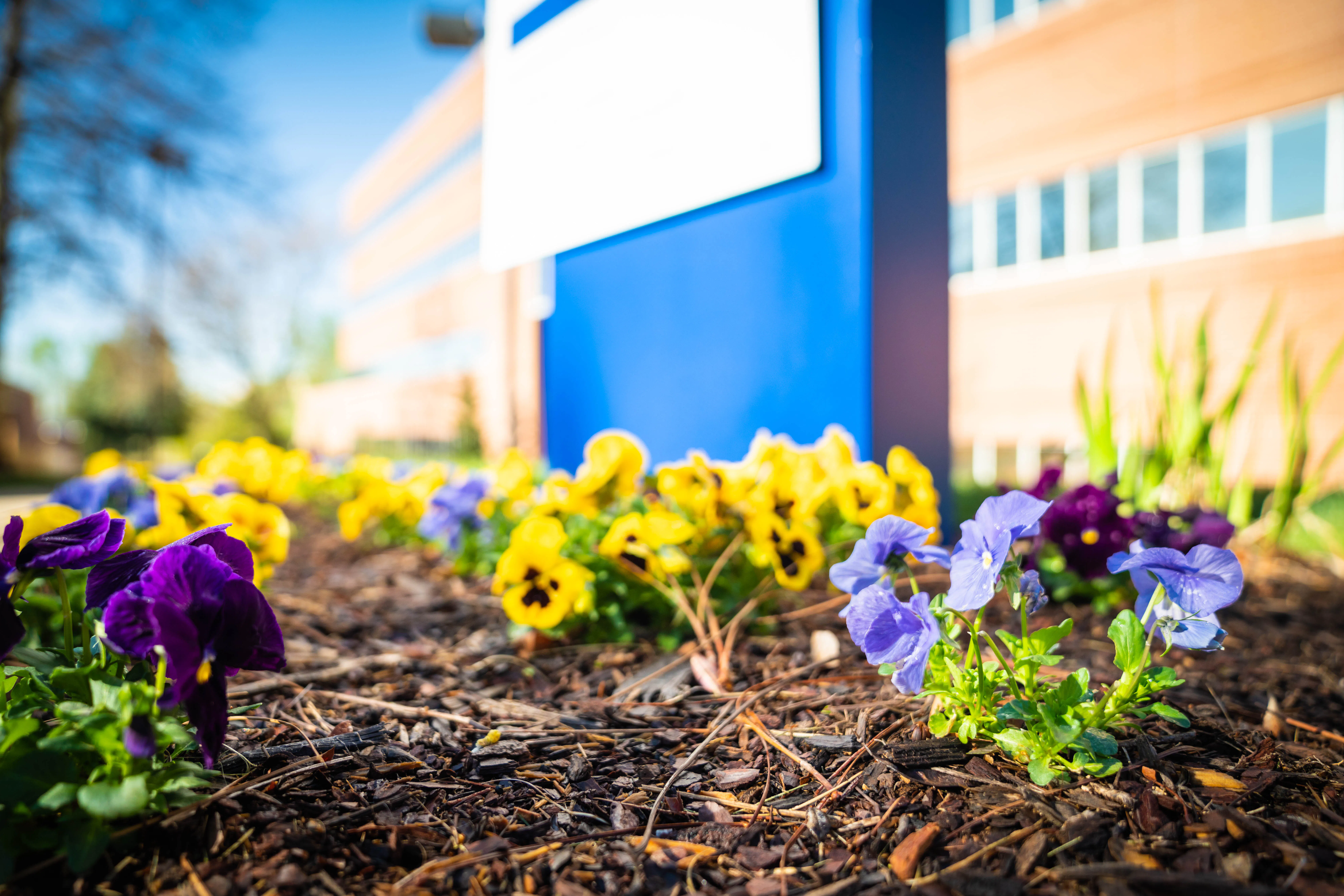 CCR FA26 Orientation - REACH Center