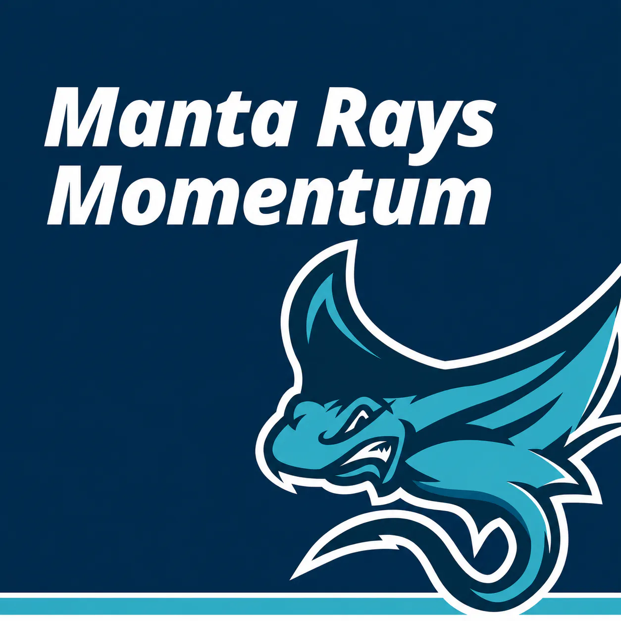 Manta Rays Momentum: The Application and Next Steps