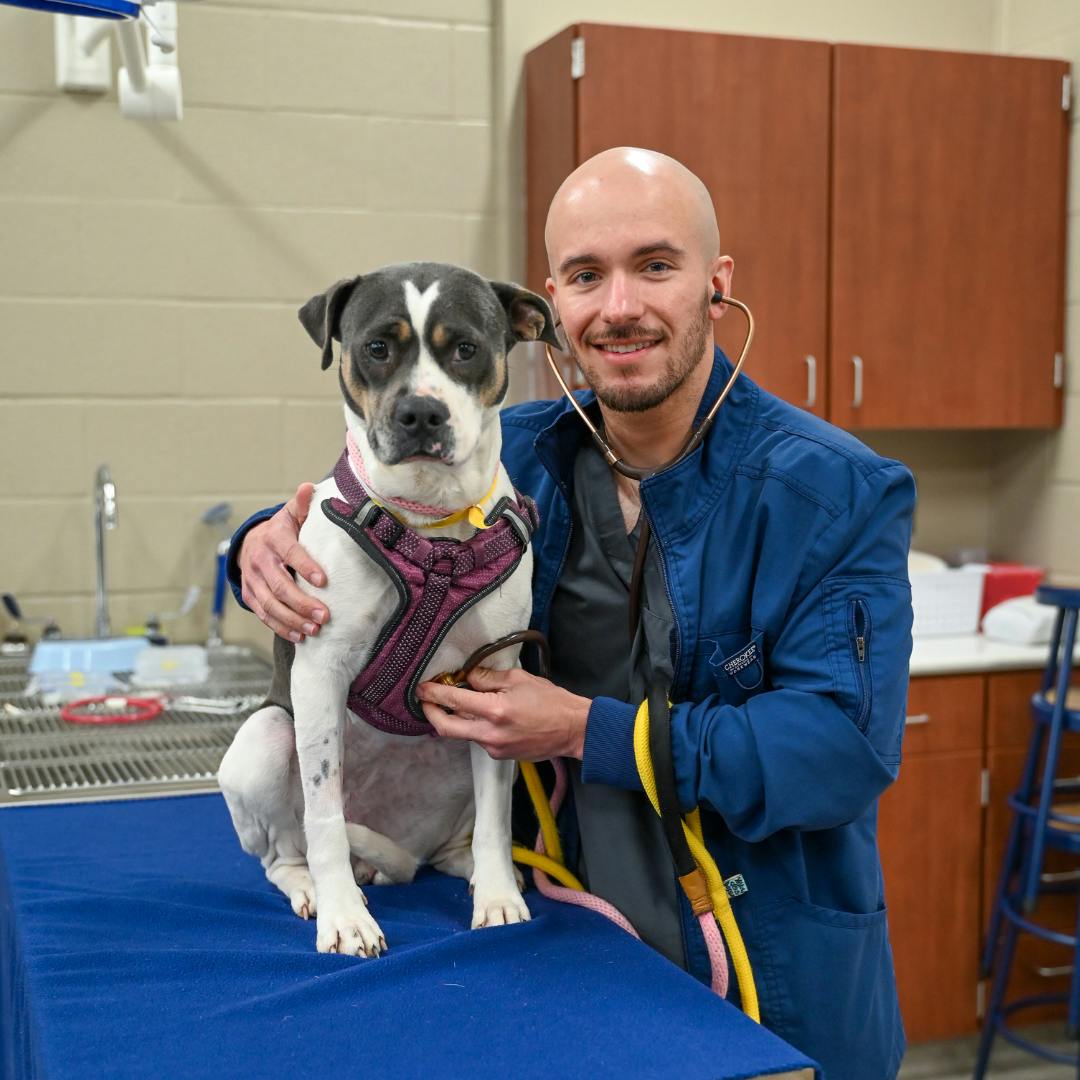 Vet Tech Information Session
