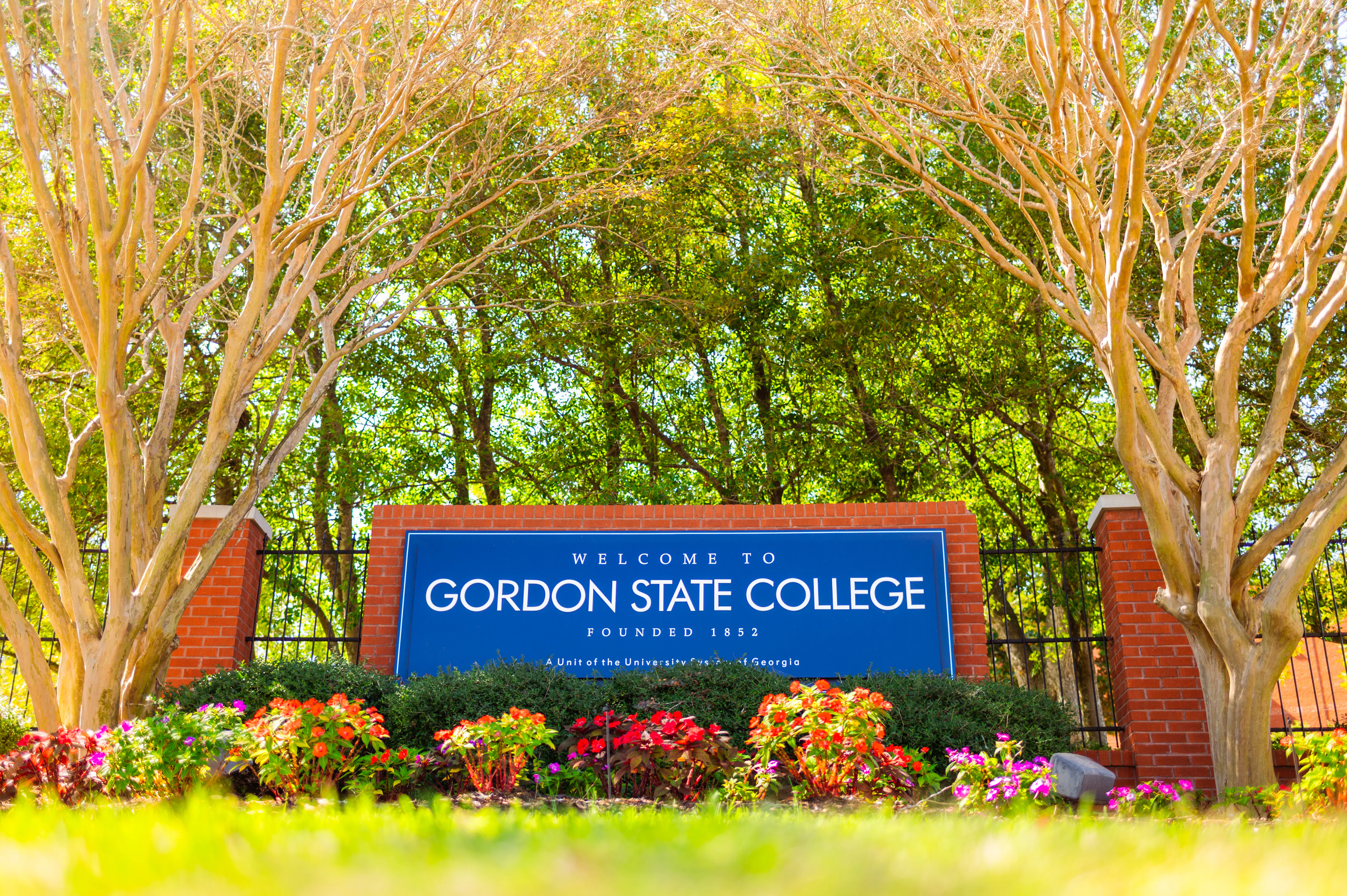 Dual Enrollment to Freshman Celebration 