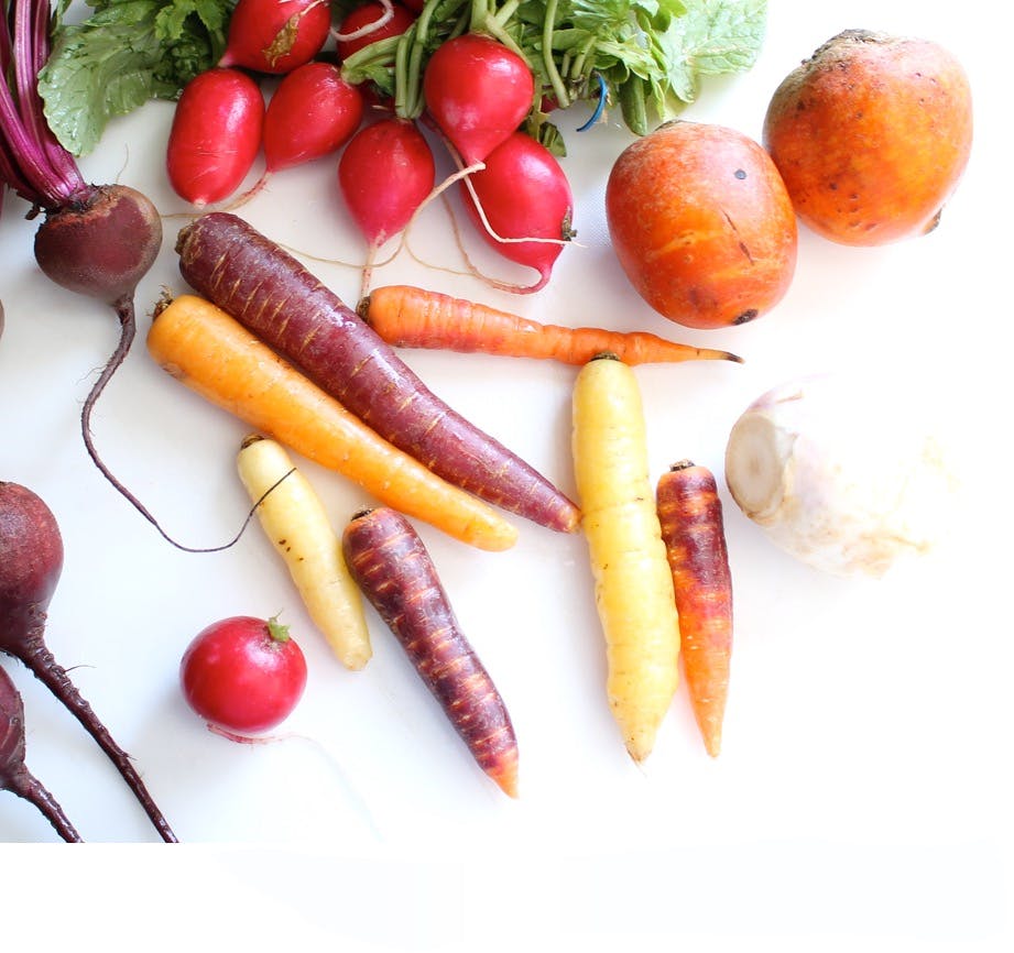 Food as Sacred Text:
Interreligious Rituals, Practices, & Cultures - Livestream Registration