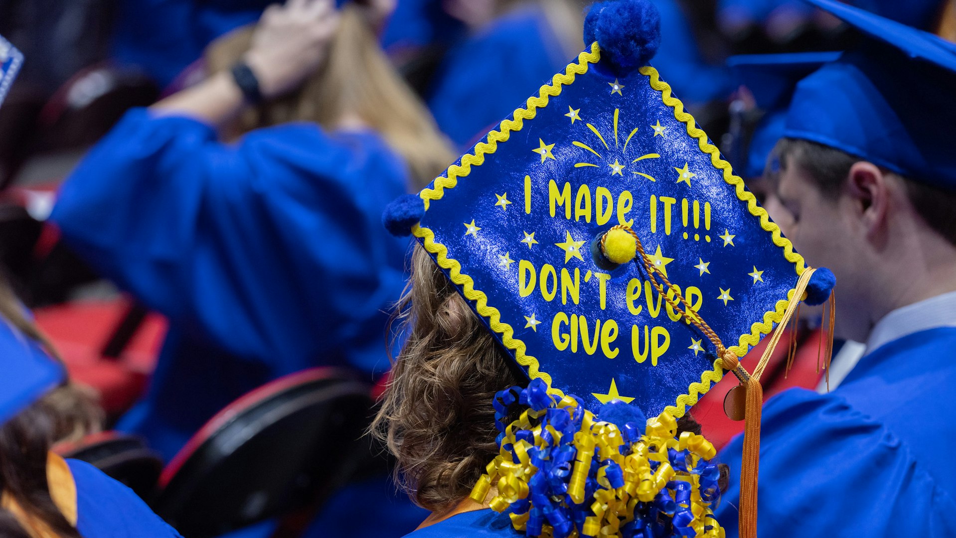 elm-pg-billboard-form 52916480712_5b2c0a9336_k