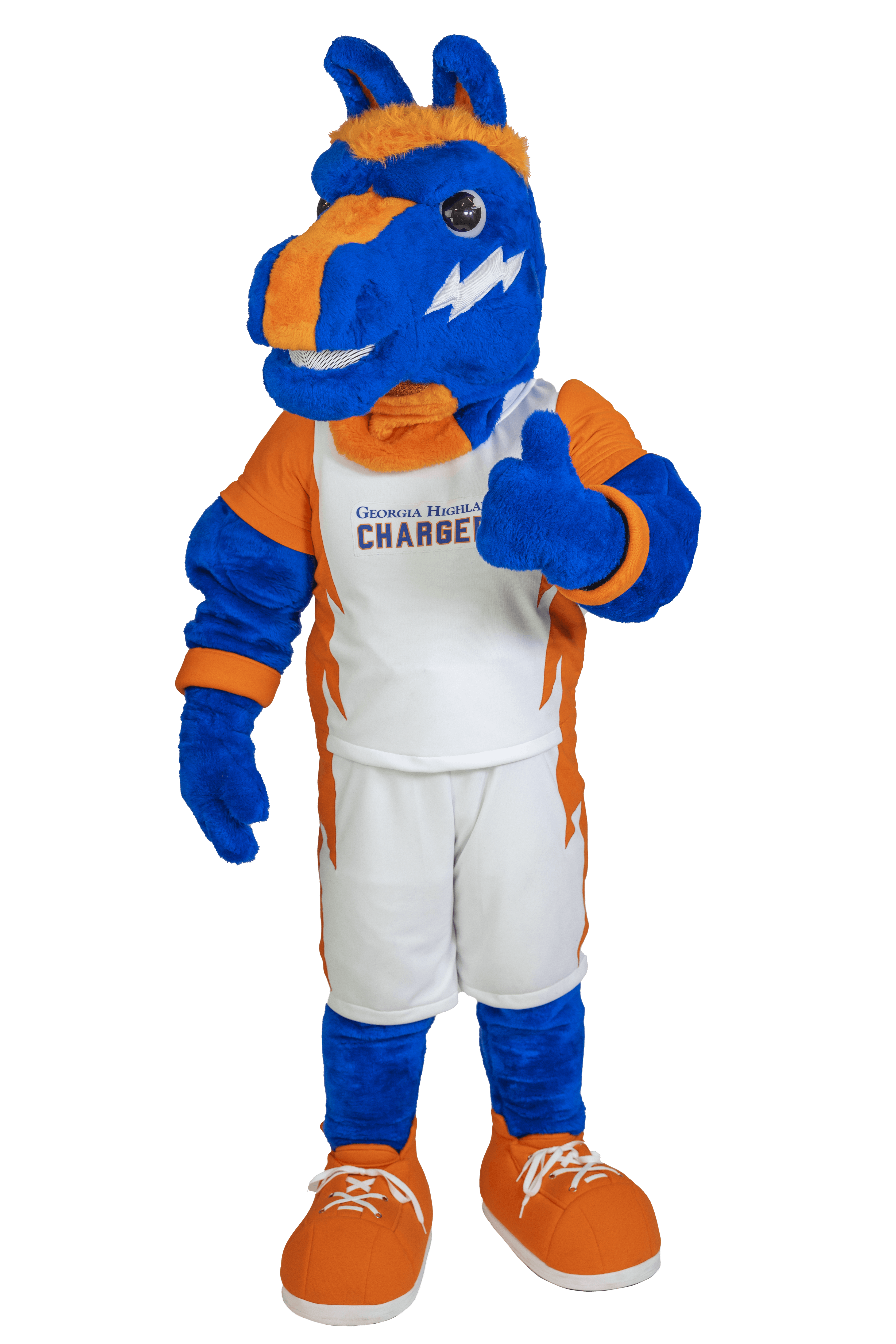 Charger for a Day