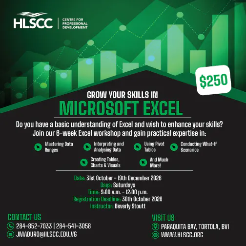 Microsoft Excel