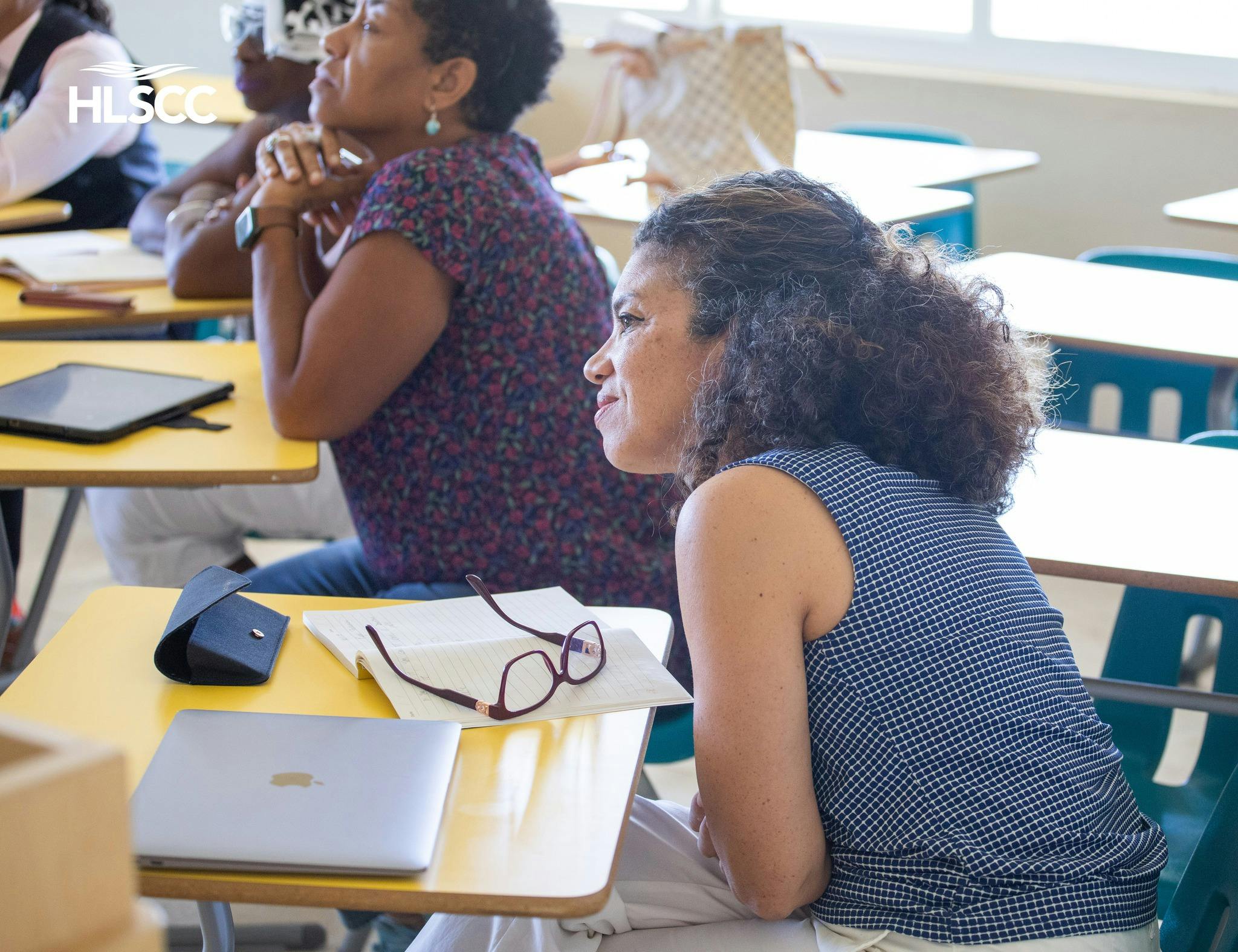 MANUSCRIPT TO MARKET: How Stories Find Readers - BVI Lit Fest 2025 - $25.00