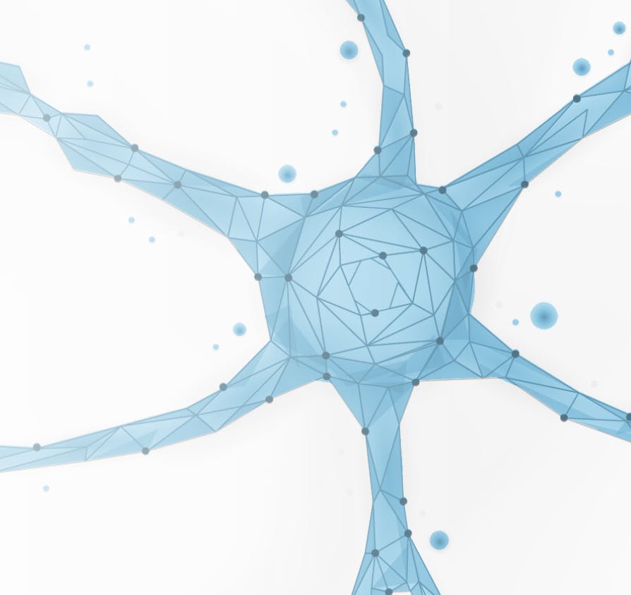 Translational and Transformative Discoveries about the Molecules, Cells, Circuits and Behaviors that Constitute Nervous System Function in Health and Disease (with NEU training area director George Huntley)