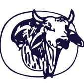 Okeechobee High School College Fair