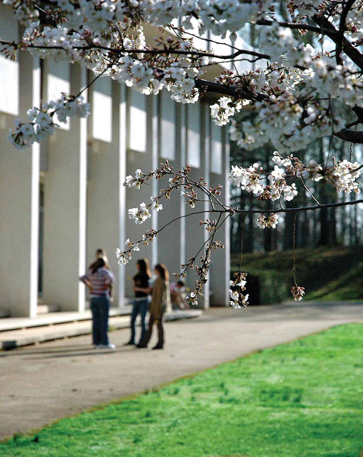 New Student Orientation-  Rutherford Campus