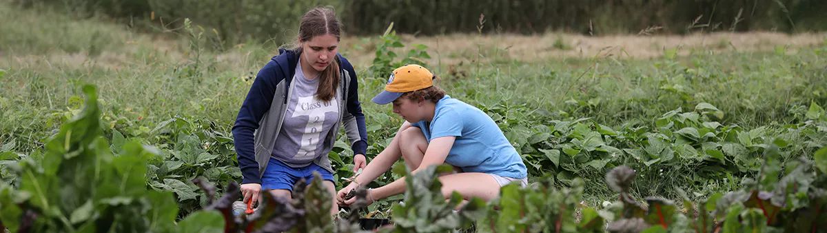 Students work on JCCC's Open Petal Farm.