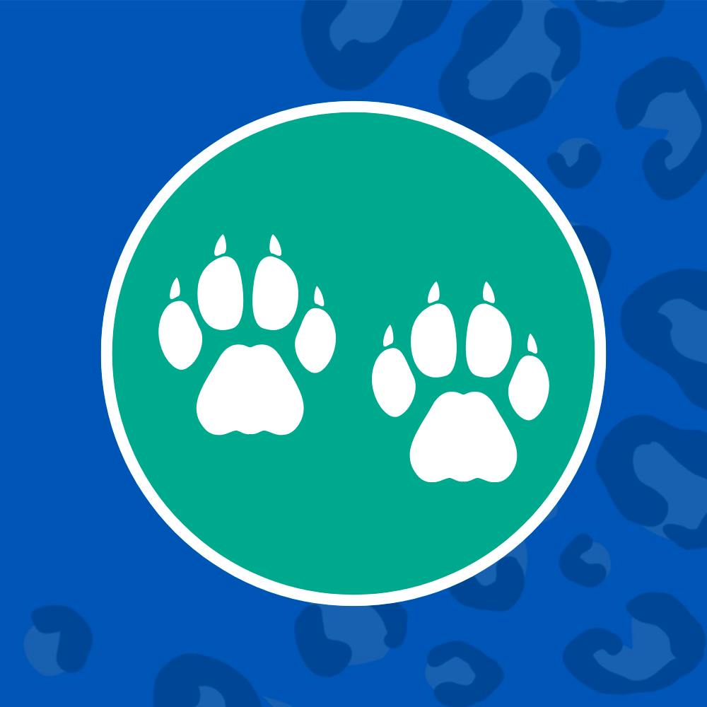 A 360 Degree Experience: Nursing Immersion Room