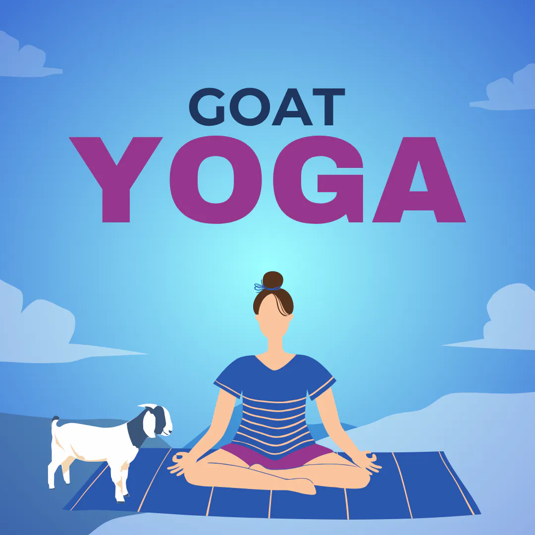 Goat Yoga with JCC Health & Fitness Science