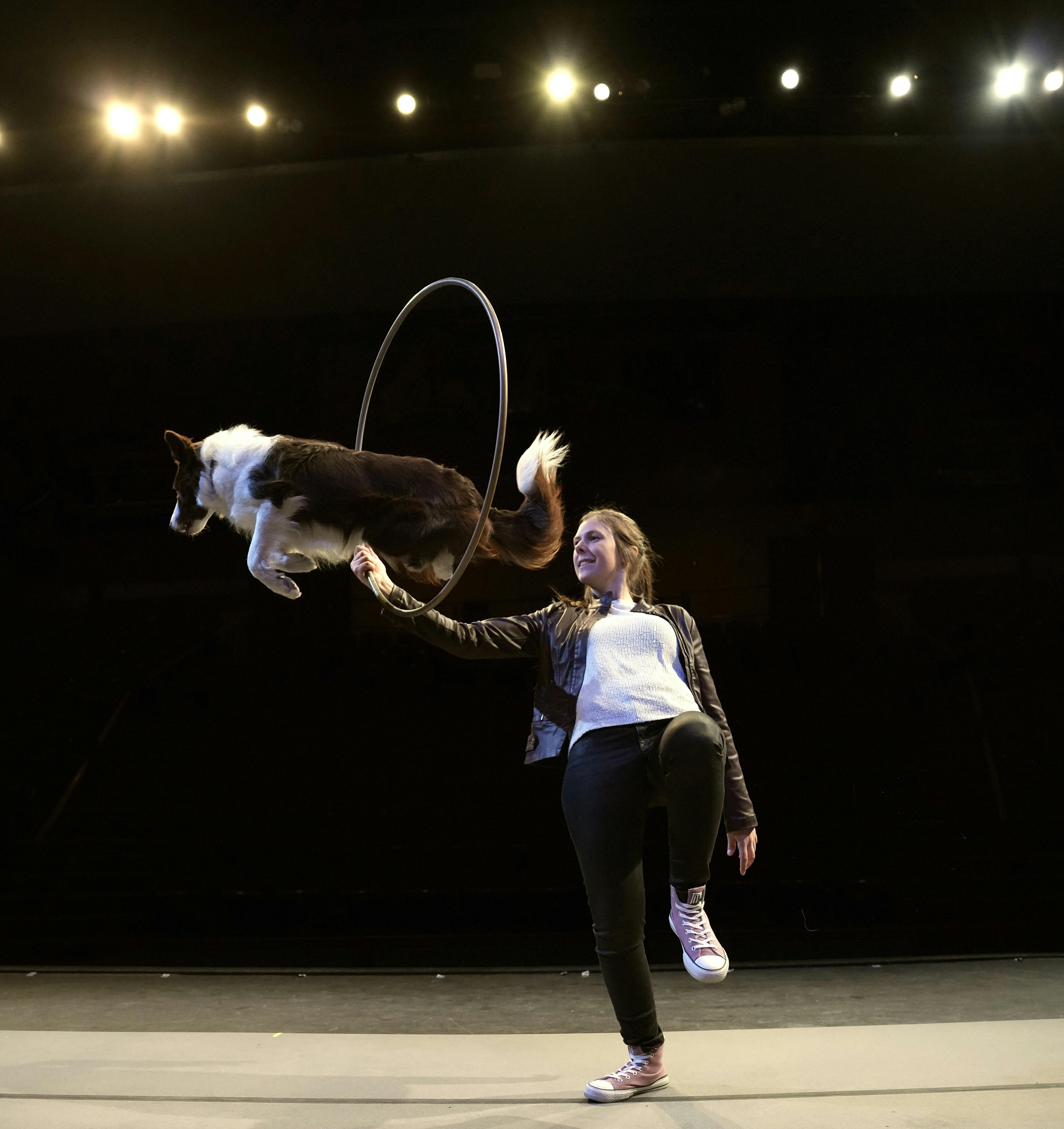 Mutts Gone Nuts: Unleashed