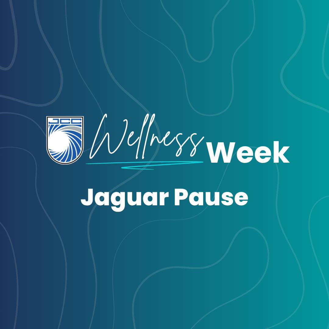Wellness Week: Jaguar Pause